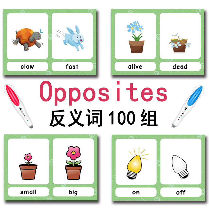 100 Kartu Flashcard Kata Bahas - Kids Educational Resources ulasan dan harga